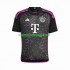 Camisola Bayern de Munique Homem Equipamento Segundo 2023-2024 Manga Curta